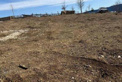 Spațiu comercial, în Poiana Vadului - 7