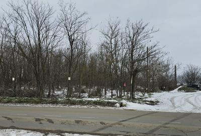 Teren Construcții intravilan de 2667 mp, în Săbăreni - 2