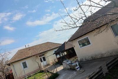 Casă cu Teren 462 Mp în Cetate