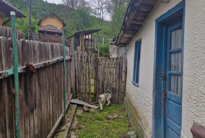 Casă cu 3 camere în Șoimari - 8