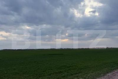 Teren în Pielești - 2