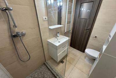 Apartament cu 2 camere decomandat, mobilat în Parcul Carol - 17