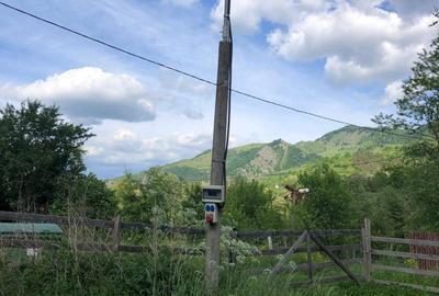 Teren de 2700 mp, în Vidolm - 2