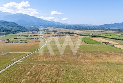 Teren : Parcele de 1.000 mp in Glajerie, Rasnov - comision 0% pentru cumparator! - 6