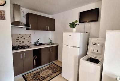 Apartament cu 2 camere decomandat în Big-Bascov - 12
