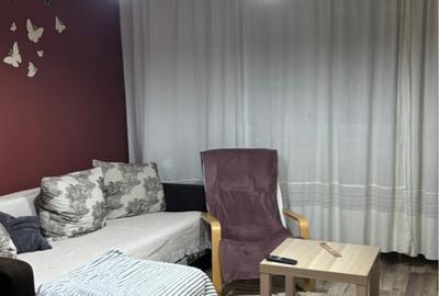 Apartament 2 camere Delfinului Iancului - 2