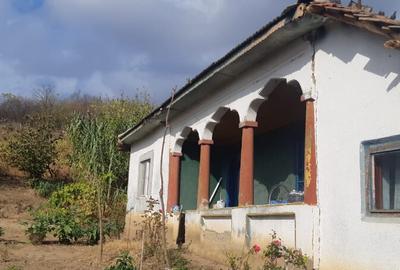 Casa Vanatori, comuna Lisa, Teleorman