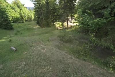 Teren de 16945 mp, în Colibița - 1