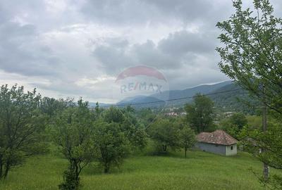 Teren 2,000mp Copalnic-Manastur / Strada Principala - 3