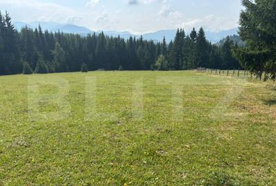 Teren de 20000 mp, în Central - 4