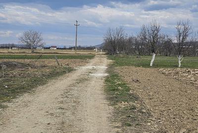 Teren de 1400 mp, în Roșu - 2