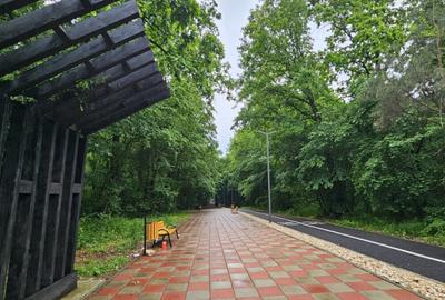 Teren de 22500 mp, în Păulești - 4