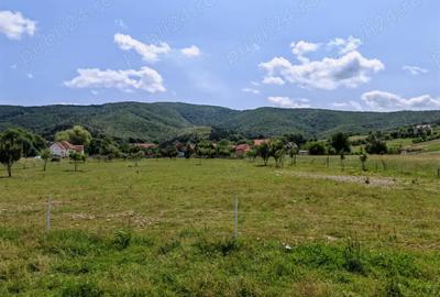 Teren de 7800 mp, în Dobârlău - 7