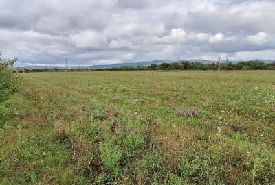 Vand teren intravilan Rascruci, com. Bontida - 1