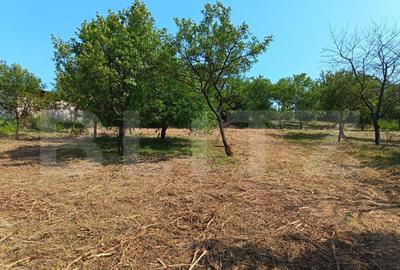 Casă cu 2 camere cu Teren 3350 Mp în Central