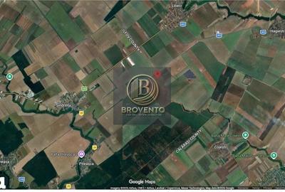 Teren de 200000 mp, în Sinești - 4