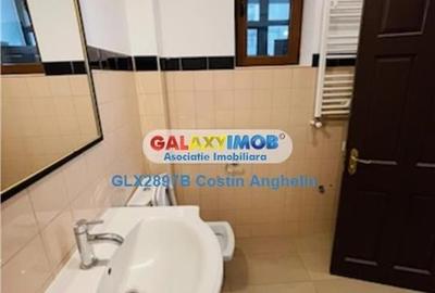 Sediu Birou Exclusivist - Vila Renovata - Zona Plevnei - 21