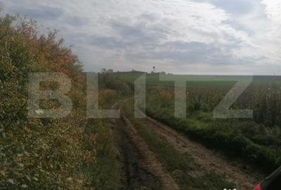 Teren de 3000 mp, în Miroslava - 1