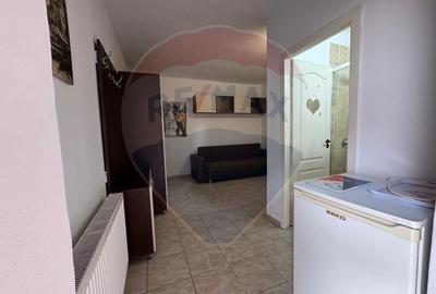 Apartament cu 1 camere de inchiriat in zona Central Apartament cu 1 camere de inchiriat in zona Central - 7