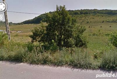 Teren de 1500 mp, în Stejaru - 2