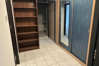 Colentina Rau, Mc Donalds, Parc Plumbuita, renovat 1/4 dec - 8