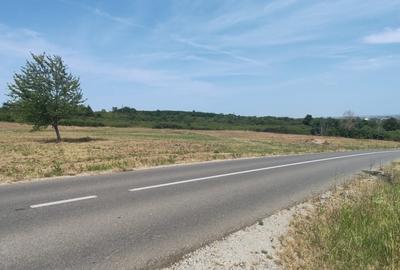 Teren intravilan -700 mp in Paleu, Bihor- intre padure si lac, cu PUZ aprobat - 3