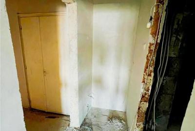 Un apartament cat o casa! CE1224 - 3