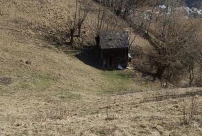 Teren de 5000 mp, în Rucăr - 1