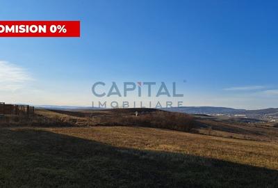 Teren agricol extravilan de 4300 mp, în Dezmir