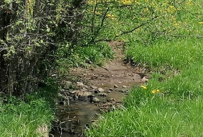 Teren de 45000 mp, în Ortoaia - 8