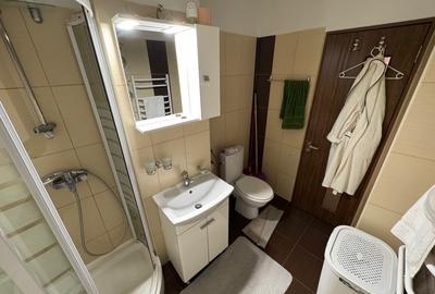 Apartament cu 2 camere, decomandat - zona Lipovei - 12