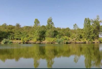 Spațiu comercial, în Găneasa - 2