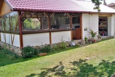 Casă cu Teren 2200 Mp în Moldovenești - 4