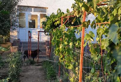 Casa de vanzare in Dragomire?ti Vale, P+1, 4 camere, 168 mp utili, teren 500 mp - 2