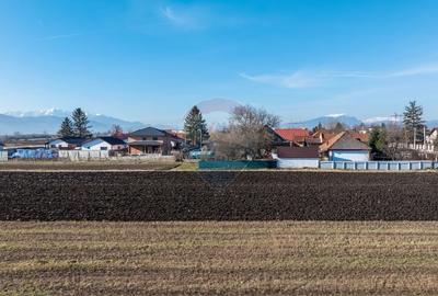 Teren Construcții intravilan de 9000 mp, în Stupini - 14