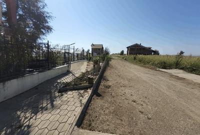 Teren Construcții intravilan de 45602 mp, în Frumușani - 2