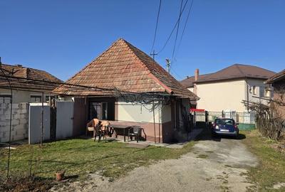 Casă cu 3 camere cu Teren 1161 Mp în Sânmihaiu Almașului - 6
