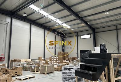 Spațiu industrial, de 760 mp, în Mogoșoaia - 7