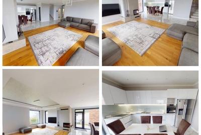 Casa individuala cu 4 camere in Faget cu 500 mp curte - 4