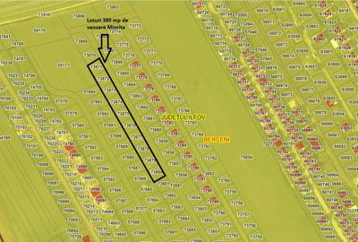 VÂND 10 LOTURI DE TEREN INTRAVILAN ÎN BERCENI - STR. MIORIȚA - Comuna Berceni - 3