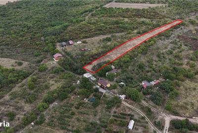 Spațiu comercial, în Tărian - 5