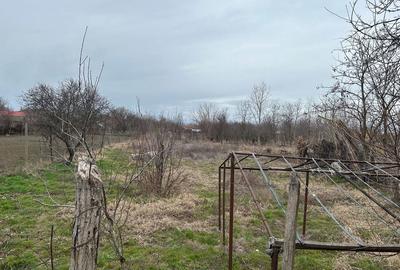 Casă cu 3 camere în Năsturelu