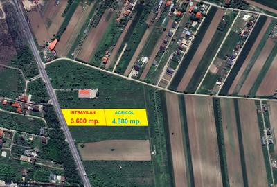 Tartasesti - stradal DN 7, 8.478 mp. teren intravilan cu deschidere de 33 m. - 4