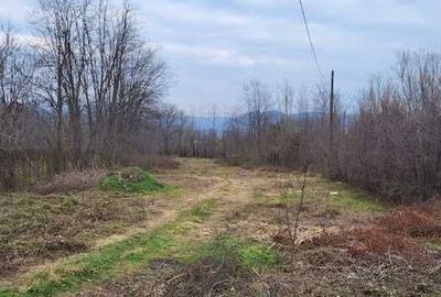 Teren de 2200 mp, în Unguriu - 7