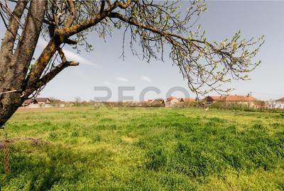 RECO casa cu teren generos in Santion - 34