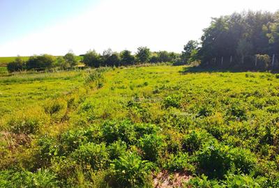 Teren 18.247 mp cu balta de pescuit Misca, Comuna Chi... - 2