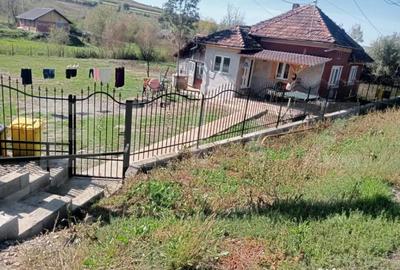 Casă cu 2 camere cu Teren 1500 Mp în Central - 9