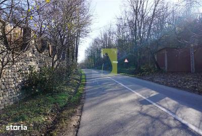Teren de 4542 mp, în Bucovăț - 1