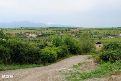 Spațiu comercial, în Daia - 1