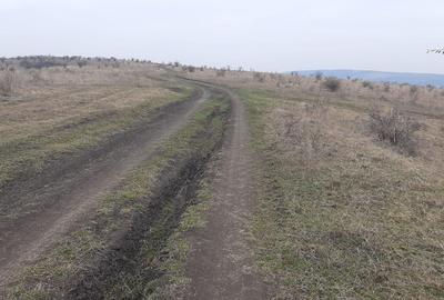 Teren agricol pentru investitii, zona Valea Calda -Iris - 10